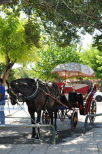 Corfu stad | Corfu | Griekenland 2 - Foto van De Griekse Gids