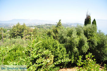 Achillion | Gastouri Corfu | Griekenland 34 - Foto van https://www.grieksegids.nl/fotos/eilandcorfu/corfu/corfu-mid/corfu-grieksegids-0064.jpg