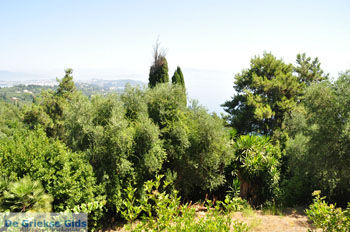 Achillion | Gastouri Corfu | Griekenland 36 - Foto van https://www.grieksegids.nl/fotos/eilandcorfu/corfu/corfu-mid/corfu-grieksegids-0066.jpg