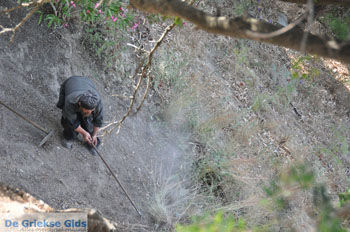 Paleokastritsa (Palaiokastritsa) | Corfu | Griekenland 22 - Foto van https://www.grieksegids.nl/fotos/eilandcorfu/corfu/corfu-mid/corfu-grieksegids-0160.jpg