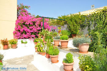 Paleokastritsa (Palaiokastritsa) | Corfu | Griekenland 36 - Foto van https://www.grieksegids.nl/fotos/eilandcorfu/corfu/corfu-mid/corfu-grieksegids-0174.jpg