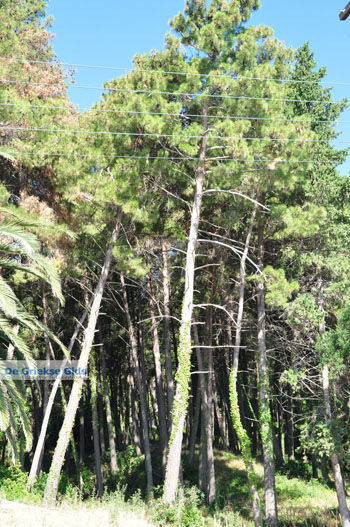 Kaizer's Bridge nabij Benitses en Gastouri | Corfu | Griekenland 13 - Foto van https://www.grieksegids.nl/fotos/eilandcorfu/corfu/corfu-mid/corfu-grieksegids-0327.jpg