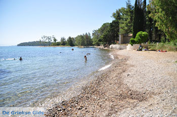 Dasia (Dassia) | Corfu | Griekenland 2 - Foto van https://www.grieksegids.nl/fotos/eilandcorfu/corfu/corfu-mid/corfu-grieksegids-0346.jpg