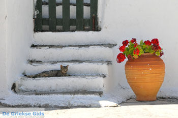 Kanoni | Corfu | Griekenland 63 - Foto van https://www.grieksegids.nl/fotos/eilandcorfu/corfu/corfu-mid/corfu-grieksegids-0526.jpg