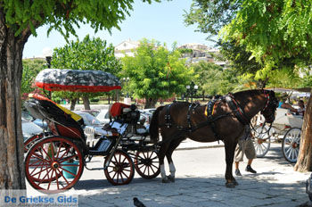 Corfu stad | Corfu | Griekenland 1 - Foto van https://www.grieksegids.nl/fotos/eilandcorfu/corfu/corfu-mid/corfu-grieksegids-0556.jpg