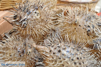 Corfu stad | Corfu | Griekenland 40 - Foto van https://www.grieksegids.nl/fotos/eilandcorfu/corfu/corfu-mid/corfu-grieksegids-0595.jpg