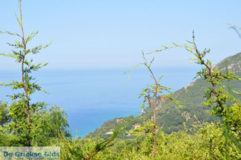 Pelekas Keizers' troon | Corfu | Griekenland 16 - Foto van https://www.grieksegids.nl/fotos/eilandcorfu/corfu/corfu-mid/corfu-grieksegids-0681.jpg