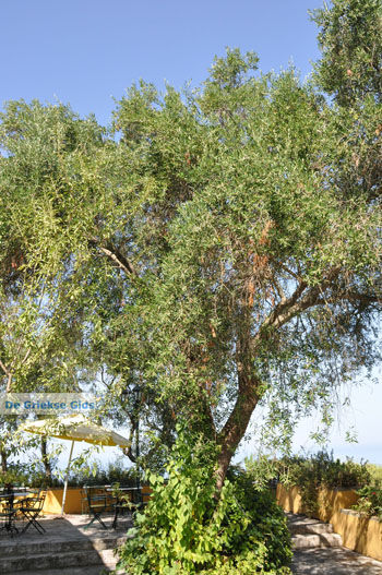 Pelekas Keizers' troon | Corfu | Griekenland 17 - Foto van https://www.grieksegids.nl/fotos/eilandcorfu/corfu/corfu-mid/corfu-grieksegids-0682.jpg