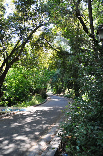 Mon Repos Paleis | Corfu | Griekenland 4 - Foto van https://www.grieksegids.nl/fotos/eilandcorfu/corfu/corfu-mid/corfu-grieksegids-0745.jpg