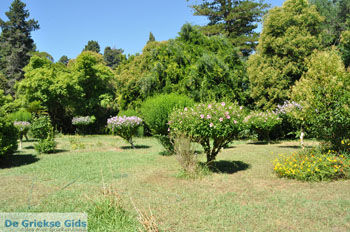 Mon Repos Paleis | Corfu | Griekenland 16 - Foto van https://www.grieksegids.nl/fotos/eilandcorfu/corfu/corfu-mid/corfu-grieksegids-0757.jpg