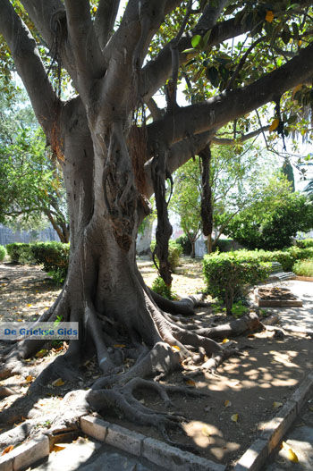 Corfu stad | Corfu | Griekenland 96 - Foto van https://www.grieksegids.nl/fotos/eilandcorfu/corfu/corfu-mid/corfu-grieksegids-0797.jpg