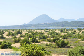 Korissia | Corfu | Griekenland 16 - Foto van https://www.grieksegids.nl/fotos/eilandcorfu/corfu/corfu-mid/corfu-grieksegids-0864.jpg