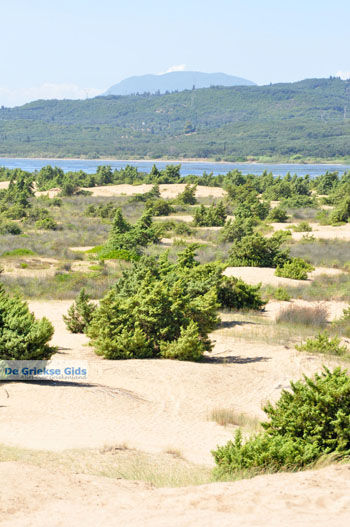 Korissia | Corfu | Griekenland 20 - Foto van https://www.grieksegids.nl/fotos/eilandcorfu/corfu/corfu-mid/corfu-grieksegids-0868.jpg