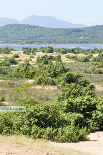 Korissia | Corfu | Griekenland 21 - Foto van https://www.grieksegids.nl/fotos/eilandcorfu/corfu/corfu-mid/corfu-grieksegids-0869.jpg