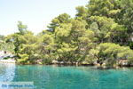GriechenlandWeb.de Gaios | Insel Paxos (Paxi) Korfu | GriechenlandWeb.de | Foto 011 - Foto GriechenlandWeb.de