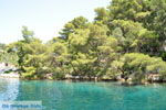 Foto Paxos Ionische Inseln GriechenlandWeb.de - Foto GriechenlandWeb.de