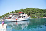 GriechenlandWeb Gaios | Insel Paxos (Paxi) Korfu | GriechenlandWeb.de | Foto 023 - Foto GriechenlandWeb.de