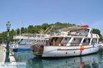 GriechenlandWeb Gaios | Insel Paxos (Paxi) Korfu | GriechenlandWeb.de | Foto 086 - Foto GriechenlandWeb.de