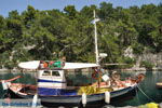 Foto Paxos Ionische Inseln GriechenlandWeb.de - Foto GriechenlandWeb.de