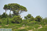 Foto Paxos Ionische Inseln GriechenlandWeb - Foto GriechenlandWeb.de