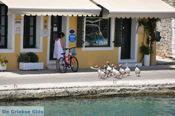 Gaios | Eiland Paxos (Paxi) bij Corfu | De Griekse Gids | Foto 018 - Foto van https://www.grieksegids.nl/fotos/eilandcorfu/paxi-antipaxi/350pix/paxi-antipaxi-118.jpg