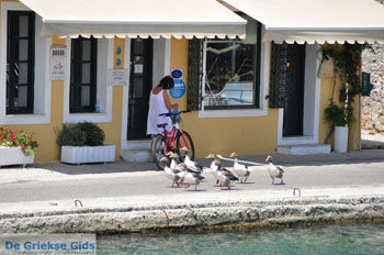 Gaios | Eiland Paxos (Paxi) bij Corfu | De Griekse Gids | Foto 019 - Foto van https://www.grieksegids.nl/fotos/eilandcorfu/paxi-antipaxi/350pix/paxi-antipaxi-119.jpg