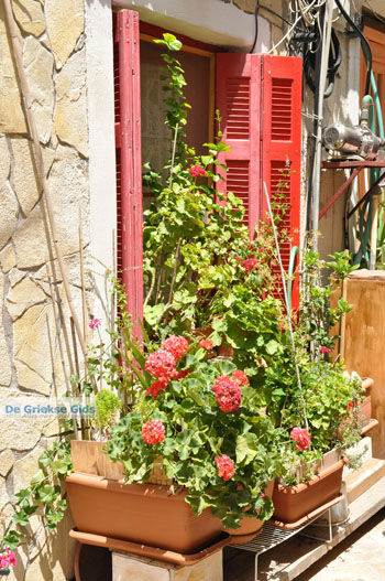 Gaios | Eiland Paxos (Paxi) bij Corfu | De Griekse Gids | Foto 038 - Foto van https://www.grieksegids.nl/fotos/eilandcorfu/paxi-antipaxi/350pix/paxi-antipaxi-138.jpg