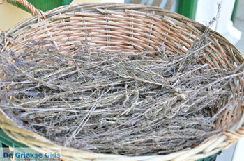 Gaios | Eiland Paxos (Paxi) bij Corfu | De Griekse Gids | Foto 047 - Foto van https://www.grieksegids.nl/fotos/eilandcorfu/paxi-antipaxi/350pix/paxi-antipaxi-147.jpg