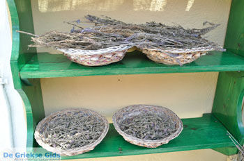 Gaios | Eiland Paxos (Paxi) bij Corfu | De Griekse Gids | Foto 048 - Foto van https://www.grieksegids.nl/fotos/eilandcorfu/paxi-antipaxi/350pix/paxi-antipaxi-148.jpg