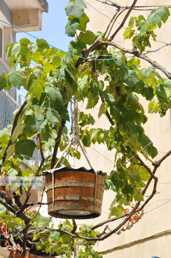 Gaios | Eiland Paxos (Paxi) bij Corfu | De Griekse Gids | Foto 053 - Foto van https://www.grieksegids.nl/fotos/eilandcorfu/paxi-antipaxi/350pix/paxi-antipaxi-153.jpg