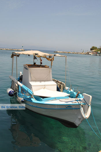 Gaios | Eiland Paxos (Paxi) bij Corfu | De Griekse Gids | Foto 058 - Foto van https://www.grieksegids.nl/fotos/eilandcorfu/paxi-antipaxi/350pix/paxi-antipaxi-158.jpg