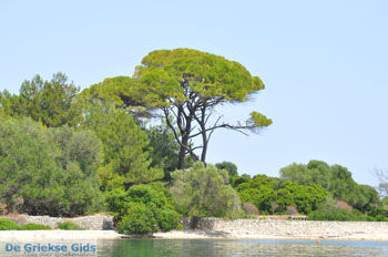 Gaios | Eiland Paxos (Paxi) bij Corfu | De Griekse Gids | Foto 085 - Foto van https://www.grieksegids.nl/fotos/eilandcorfu/paxi-antipaxi/350pix/paxi-antipaxi-185.jpg