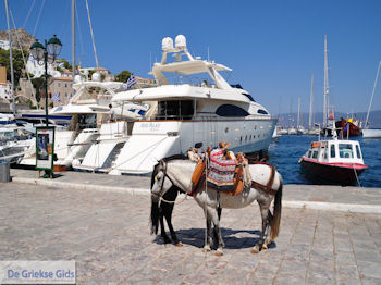 Eiland Hydra Griekenland - De Griekse Gids Foto 35 - Foto van https://www.grieksegids.nl/fotos/eilandhydra/350pixels/eiland-hydra-035.jpg