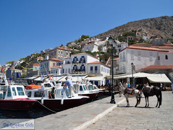 Eiland Hydra Griekenland - De Griekse Gids Foto 36 - Foto van https://www.grieksegids.nl/fotos/eilandhydra/350pixels/eiland-hydra-036.jpg