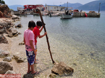 Pisaetos - Ithaki - Ithaca - Foto 099 - Foto van https://www.grieksegids.nl/fotos/eilandithaca/Eiland-Ithaki-Ithaca-mid-foto099.jpg