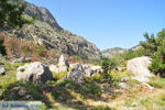 Achata Beach | Eiland Karpathos | De Griekse Gids foto 003 - Foto van De Griekse Gids