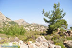 Natuur in het oosten van Karpathos | De Griekse Gids 004 - Foto van De Griekse Gids