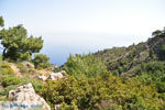 Natuur in het oosten van Karpathos | De Griekse Gids 005 - Foto van De Griekse Gids