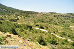 Centraal Karpathos tussen Spoa en Mesochori | De Griekse Gids foto 002 - Foto van De Griekse Gids