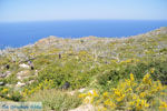 Centraal Karpathos tussen Spoa en Mesochori | De Griekse Gids foto 005 - Foto van De Griekse Gids