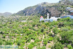 Mesochori | Eiland Karpathos | De Griekse Gids foto 021 - Foto van De Griekse Gids