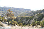 Natuur onderweg naar Olympos | Eiland Karpathos foto 003 - Foto van De Griekse Gids