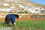 Avlonas bij Olympos | Karpathos | De Griekse Gids foto 7 - Foto van De Griekse Gids