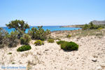 Diakofti beach | Stranden Karpathos | De Griekse Gids foto 002 - Foto van De Griekse Gids