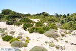 Het zuid-oosten van Karpathos | De Griekse Gids Foto 001 - Foto van De Griekse Gids