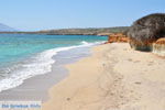 Zandstranden in het zuiden van Karpathos | De Griekse Gids foto 001 - Foto van De Griekse Gids