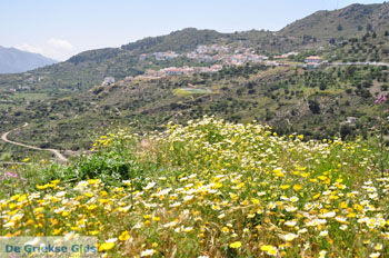 Othos | Eiland Karpathos | De Griekse Gids foto 002 - Foto van https://www.grieksegids.nl/fotos/eilandkarpathos/karpathos-mid/eiland-karpathos-037.jpg
