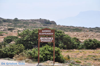 Finiki | Eiland Karpathos | De Griekse Gids foto 001 - Foto van https://www.grieksegids.nl/fotos/eilandkarpathos/karpathos-mid/eiland-karpathos-057.jpg