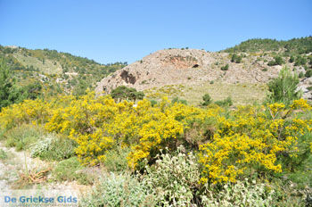 Natuur bij Achata Beach | De Griekse Gids | Eiland Karpathos - Foto van https://www.grieksegids.nl/fotos/eilandkarpathos/karpathos-mid/eiland-karpathos-136.jpg