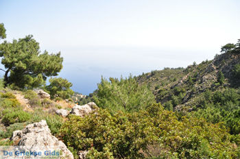 Natuur in het oosten van Karpathos | De Griekse Gids 005 - Foto van https://www.grieksegids.nl/fotos/eilandkarpathos/karpathos-mid/eiland-karpathos-151.jpg